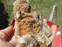 Old home site  FM 306 007.webp