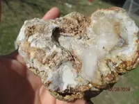 Old home site  FM 306 009.webp