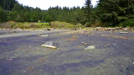 DSCN8144.webp
