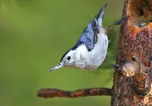 02222.webp