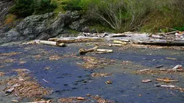 DSCN8153.webp