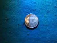 1995 Reverse.webp 1995 Reverse.webp