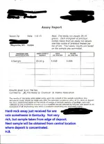Assay report edited.webp