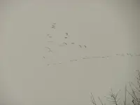 snow mt 1.webp