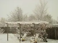 snow mt 2.webp