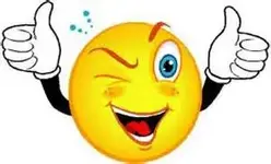 double thumbs upth.webp