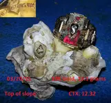 Gold Ring #1 2015.webp
