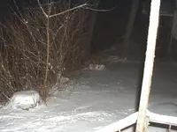 DSCF0003.webp