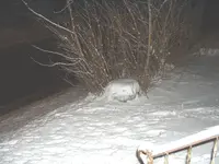 DSCF0004.webp
