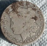 silver dollar 331 004.JPG