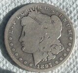 silver dollar 331 005.JPG