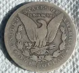 silver dollar 331 007.webp