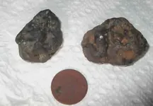 4_14_2013 my small eyed finds.webp