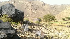 VIDEO0030_٠٠٠٠٠٢٥٠٣٥.webp