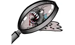 kills_no_see-ums_and_sandflies_tampa.webp