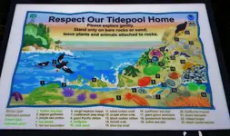 DSCN7564.webp
