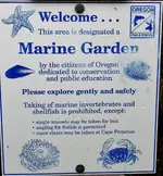 DSCN7560.webp