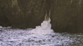 DSCN7545.webp
