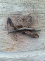 ImageUploadedByTreasureNet.com1427849867.465910.webp ImageUploadedByTreasureNet.com1427849867.465910.webp
