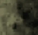 oldman1B4.webp