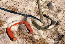 real-ringer-horse-shoe-game-challange-5471000.webp