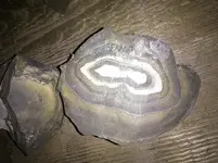 rocks.webp