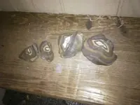 rocks 3.webp