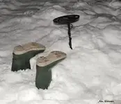 metaldetectingsnow.webp
