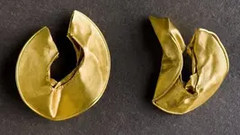 _81925281_goldrings.webp