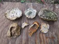 Birds,bricks,chalcedony 009.webp