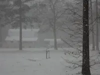 snow 008.webp