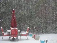 snow 009.webp