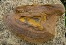 iron nodule.webp