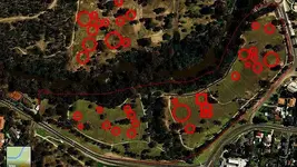 patch- aussiedetect.webp