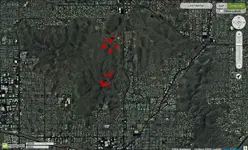Nearbymountains- Red Fox 4.webp