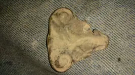 DSC_0166.webp