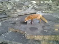 2014-10-07 07.45.24.webp