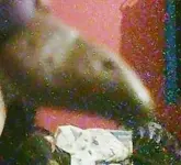 Snapshot_20150305_2.webp