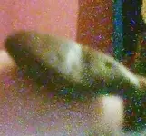 Snapshot_20150305_7.webp