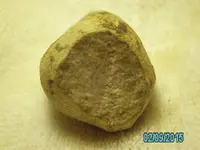 buddy 021.webp