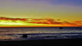DSCN7919.webp