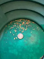 3goldhome2015.webp