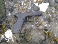 z Gun sitchu.webp