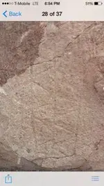 ImageUploadedByTreasureNet.com1427421213.256958.webp