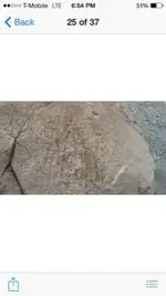 ImageUploadedByTreasureNet.com1427421402.861078.webp