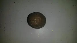 20150305_191100.webp