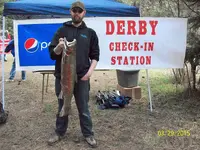 steelhead (3).webp