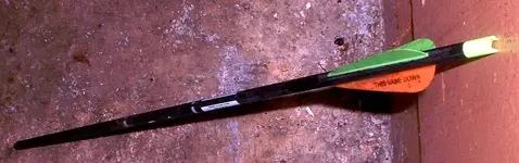 DSCF0007.webp