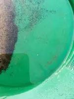 ImageUploadedByTreasureNet.com1424138727.084400.webp
