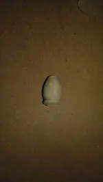 IMAG1355.webp
